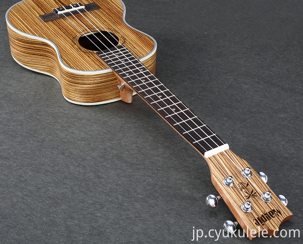 ukulele13 ukulele13
